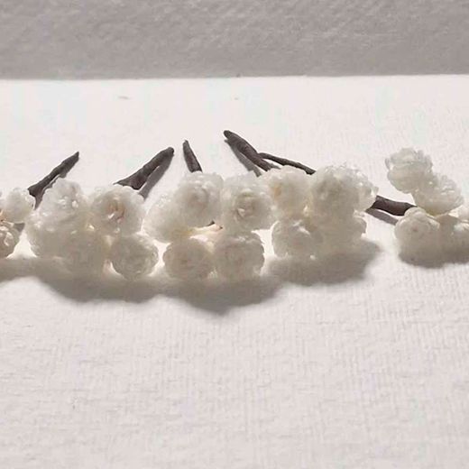 Flor de Siempreviva para el Pelo