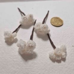 Flor de Siempreviva para el Pelo