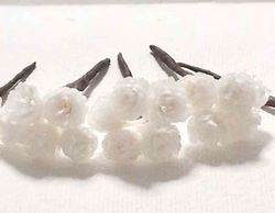 Flor de Siempreviva para el Pelo