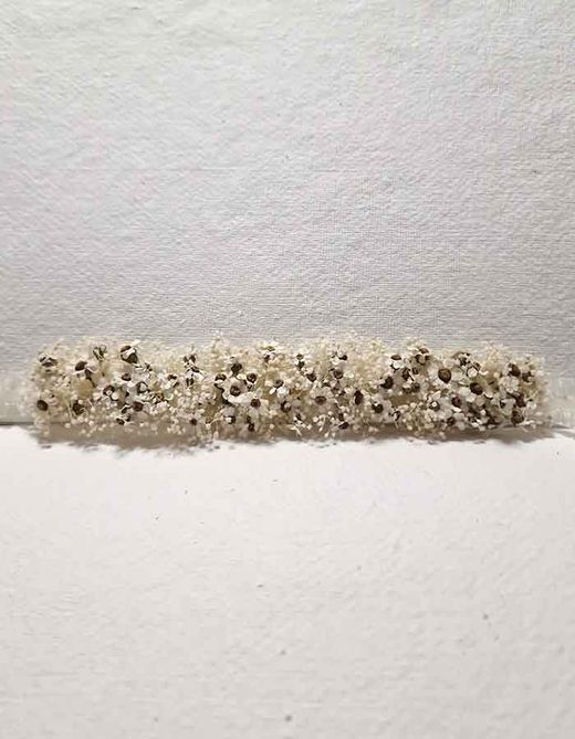 Flores Margaritas para la Cintura