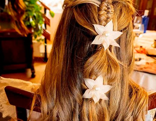 Estrella de Pétalos con Horquilla