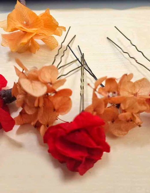 Horquillas de Hortensia en Tú Color