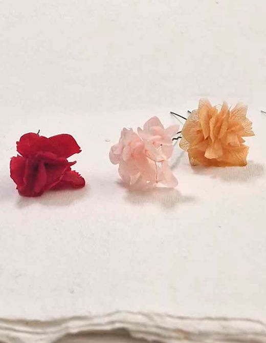 Horquillas de Hortensia en Tú Color