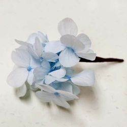 Hortensia Azul Para el Pelo 5 unid