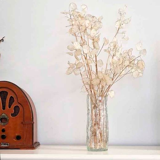 Jarrón con Ramo de Flor Lunaria