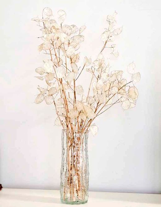 Jarrón con Ramo de Flor Lunaria