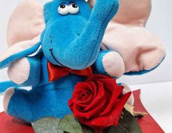 Kit del Enamorado con Elefante