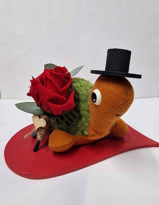 Kit Rosa y Tortuga de Peluche