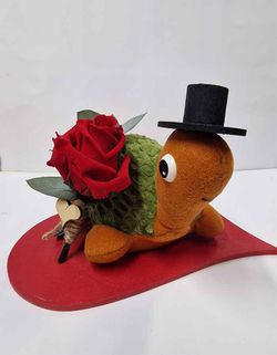 Kit Rosa y Tortuga de Peluche