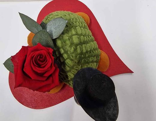 Kit Rosa y Tortuga de Peluche