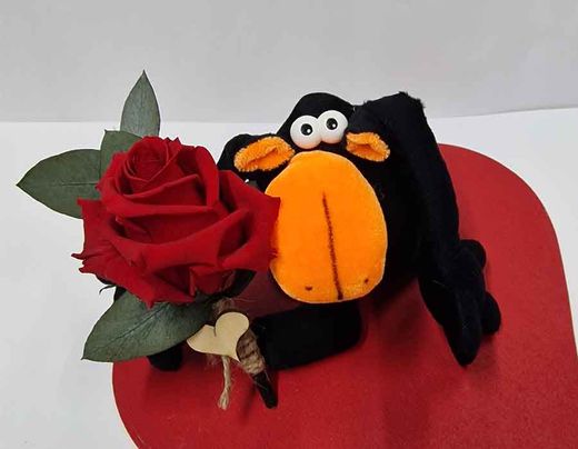 Kit una Rosa con Mono