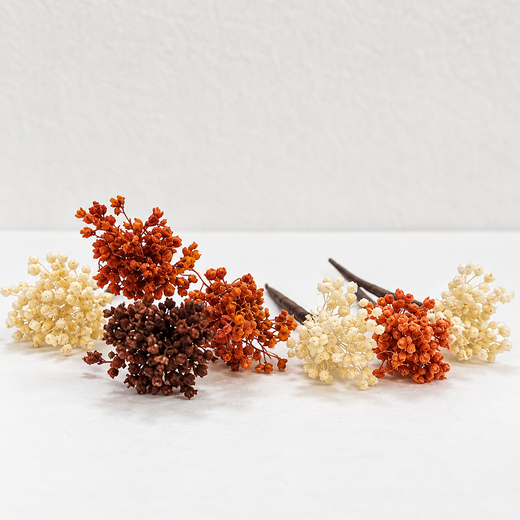 Paniculata de Colores para el Pelo