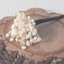 Pinpelo Flor 5 unid Paniculata Preservada