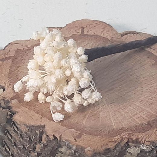 Pinpelo Flor 5 unid Paniculata Preservada