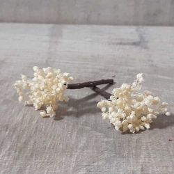 Pinpelo Flor 5 unid Paniculata Preservada