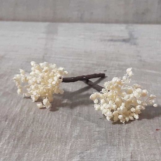 Pinpelo Flor 5 unid Paniculata Preservada