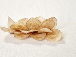 Prendido Novio de Lunaria