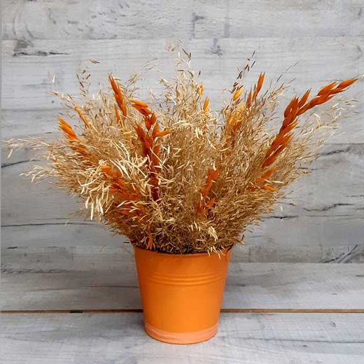 Ramillete de Flor Holanda