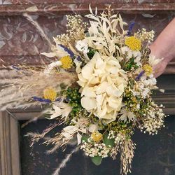 Ramo Silvestre Paula