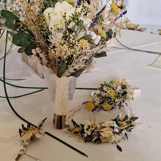 Ramo Silvestre Paula