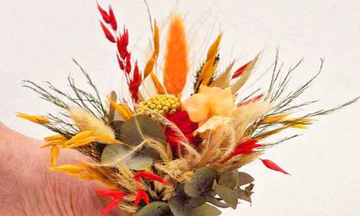 Replica Pequeña Colección Iria