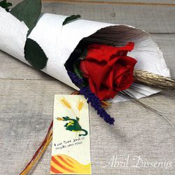 Rosa de Sant Jordi Envuelta en Pergamino