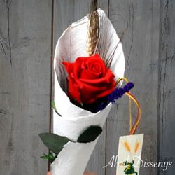 Rosa de Sant Jordi Envuelta en Pergamino