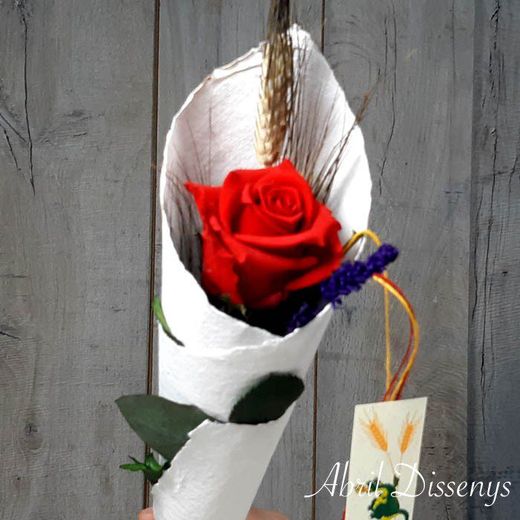 Rosa de Sant Jordi Envuelta en Pergamino