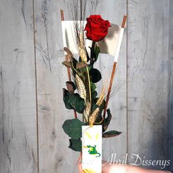 Rosa Roja Grande Sant Jordi
