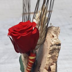 Rosas y Espigas Sant Jordi