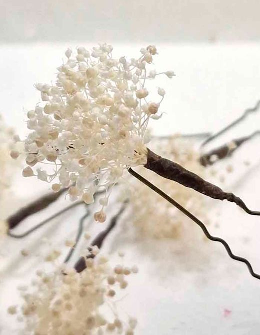 Set 5 Horquillas de Paniculata