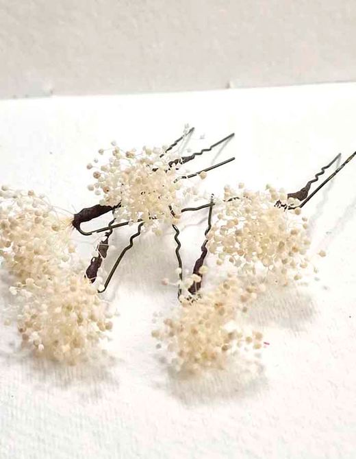 Set 5 Horquillas de Paniculata