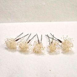 Set 5 Horquillas de Paniculata