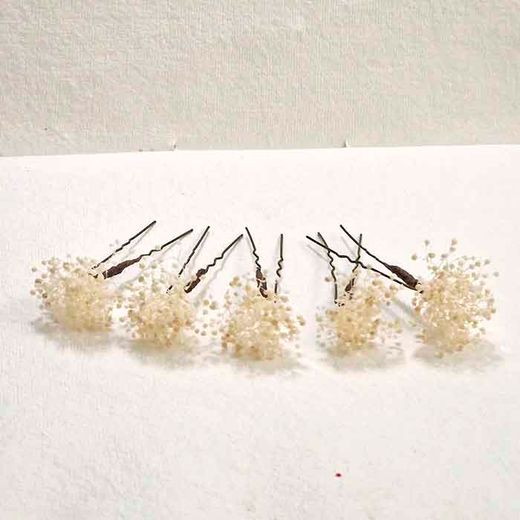 Set 5 Horquillas de Paniculata