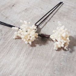 Set 5 Horquillas de Paniculata