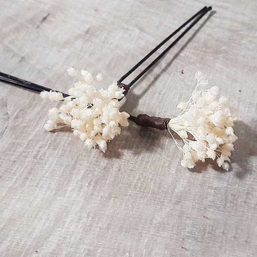 Set 5 Horquillas de Paniculata