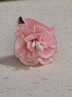 Claveles para el Pelo todos los colores