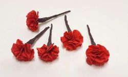 Claveles para el Pelo todos los colores