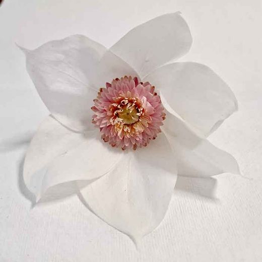 Tocado de Magnolia Preservada