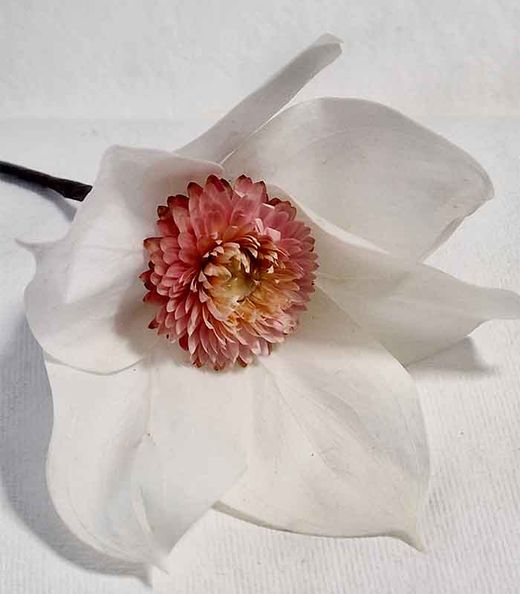 Tocado de Magnolia Preservada