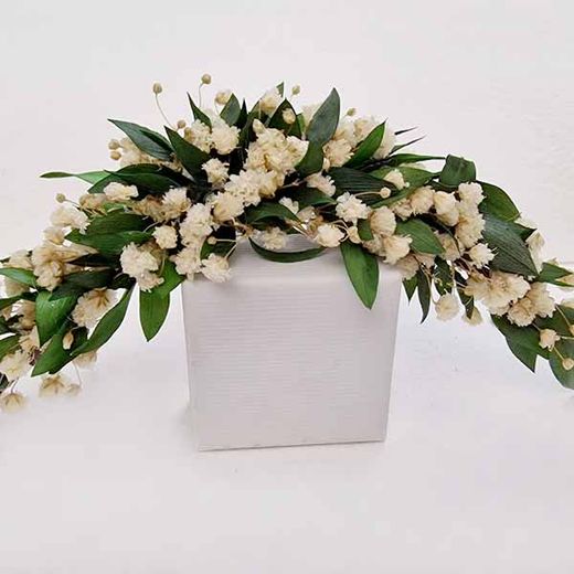 Tocado o Tiara Pomona