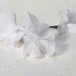 Toques de Hortensia en el Pelo