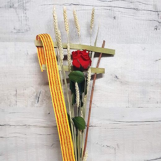 Una Rosa Roja y Cuatro Barras