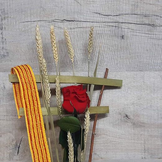 Una Rosa Roja y Cuatro Barras